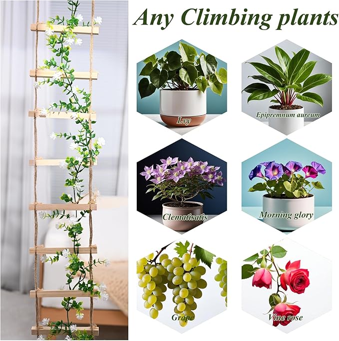 2PCS Chain Trellis for Climbing Plants - Natural Wood Indoor Plant Support, Durable 6.5 Inch by 4 Feet Design, Perfect for Pothos, Ivy, and Vines with Easy Installation Hook