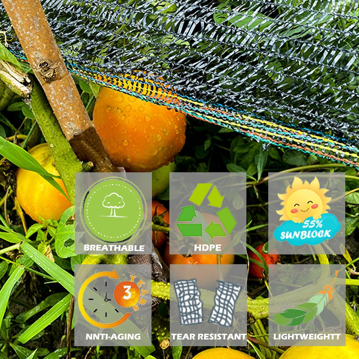 55% shade cloth for garden, black shade net shown in use