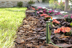 Micro Sprinkler Landscape & Shrub Kit