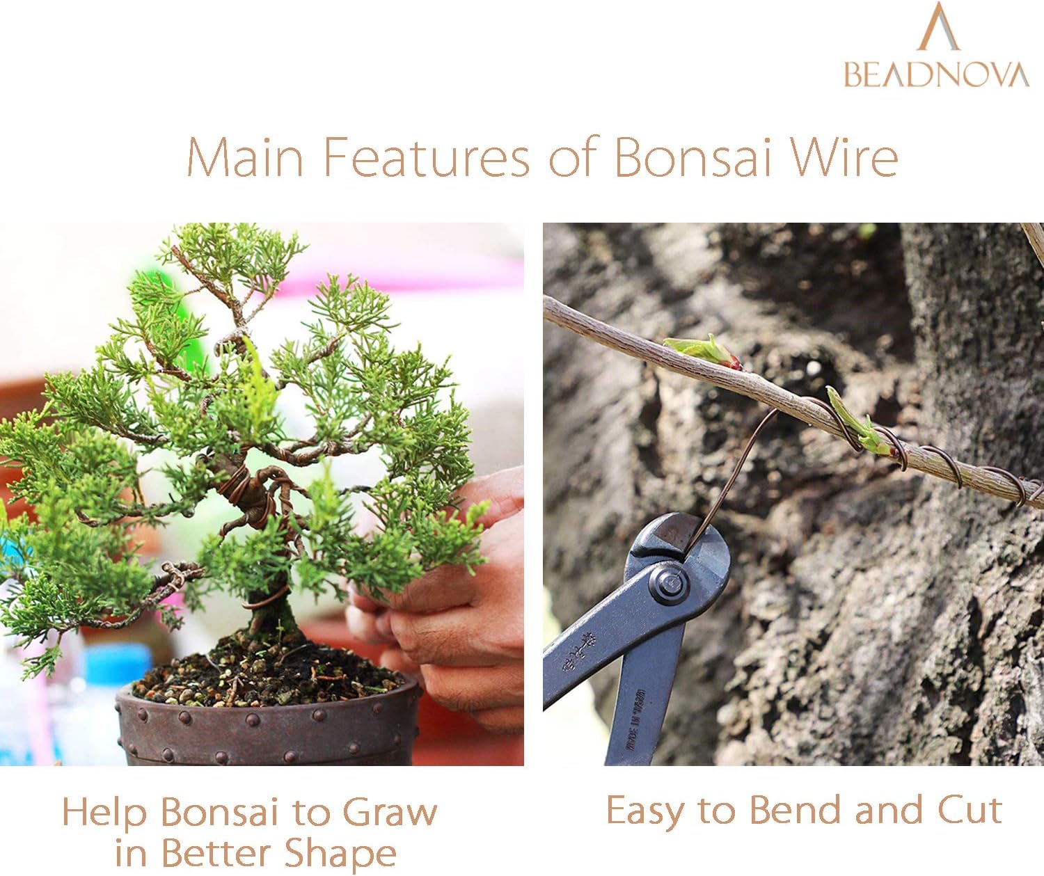 BEADNOVA Bonsai Tree Wire 98 Feet Green Aluminum Bonsai Tree Training Wire for Indoor and Outdoor Plant (Green, 1mm, 30m)