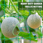 Garden Trellis Netting - Heavy Duty Trellis Net for Climbing Plants, Plant Netting for Cucumber, Tomato, 27 Strands Nylon & 4x4 Inch Mesh, Grow Netting for Fruits, Vegetables, Grape, Bean(6.6x4.9 FT)