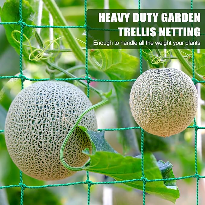 Garden Trellis Netting - Heavy Duty Trellis Net for Climbing Plants, Plant Netting for Cucumber, Tomato, 27 Strands Nylon & 4x4 Inch Mesh, Grow Netting for Fruits, Vegetables, Grape, Bean(6.6x4.9 FT)