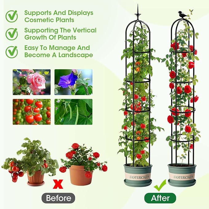 2026 Updated Garden Obelisk Trellis for Climbing Plants Outdoor, 76inch Tomato Cage, Rose, Flowers, Grape, Pea, Cucumber Trellis, Rustproof Plastic Coated Metal Plant Support Trellis for Potted Plants