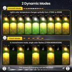 LED Landscape Lighting Kit Outdoor Landscape Lights with Remote Control Dimmable IP66 Waterproof 2700-6500K Spot Lights for Garden Lawn Patio Yard with US Plug 8 Pack