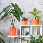 Gepege Peach Indoor Plant Pots for Plants, Ceramic Planter with Drainage Hole, 7.6 Inch +6 Inch 2pcs Succulent Orchid Flower Pot - Rainbow Pearl Glaze