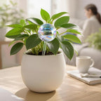 Extra-Thick Clear Glass Plant Watering Globes, Rainbow Gradient Self Watering Devices, Automatic Plant Waterer Spikes for Indoor & Outdoor Plants, Perfect for Everyday or Vacation Use, 4-Pack