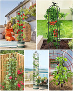 6.2ft Garden Obelisk Trellis for Climbing Plants Rustproof Metal Pipe with Heavy Duty Plastic Coated Garden Outdoor Indoor Potted Plant Support for Clematis Vine Jasmine Support