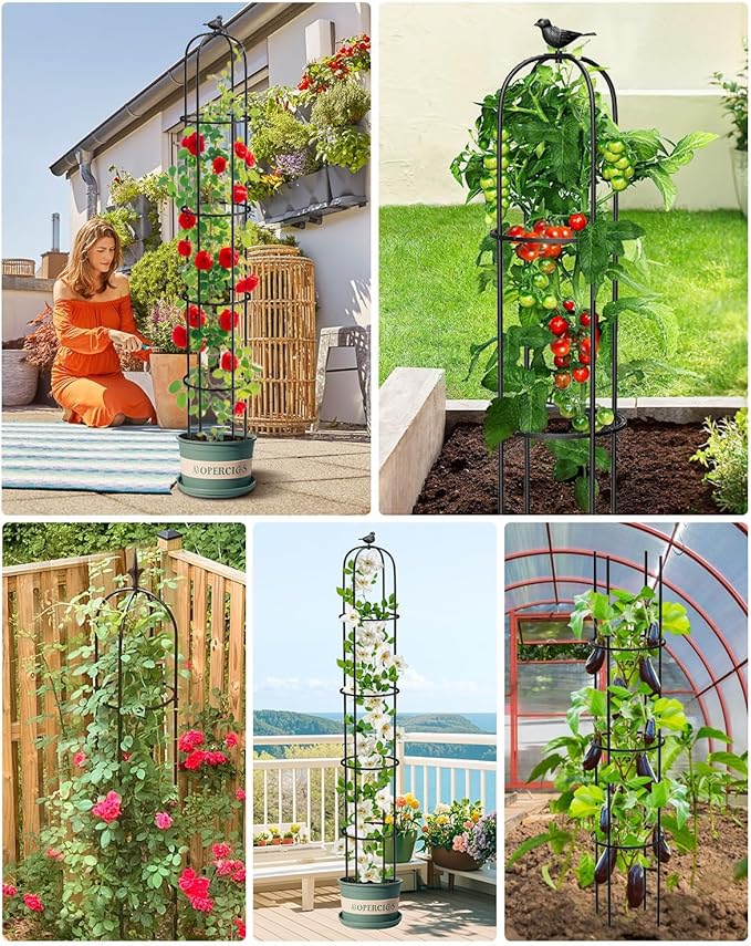 6.2ft Garden Obelisk Trellis for Climbing Plants Rustproof Metal Pipe with Heavy Duty Plastic Coated Garden Outdoor Indoor Potted Plant Support for Clematis Vine Jasmine Support