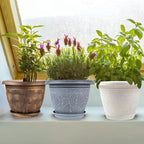 6 Inch Flower Pots Planters for Indoor Outdoor Plants, 6 Pack Plastic Small Plant Pots with Drainage Hole & Tray, Modern Decorative Garden Pot with Saucer, Plant Container for House
