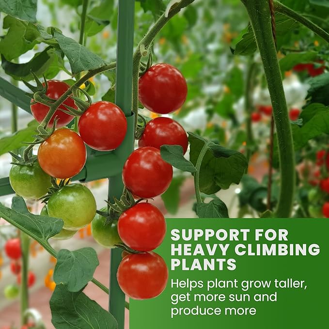 Tomato Cage Square - Large Trellis Stakes and Plant Support Structures for Vegetables and Climbing Plants - Tall Tomato Cages for Garden, Pots, Raised Garden Bed Outdoor Supplies (3 Pack - Up to 41")