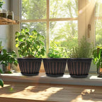FGstyle 4 Pack Flower Pots,8 Inch Plants Pot,Planters Pot with Drainage Hole & Saucer,Modern Planters for Indoor Outdoor Plants,Decorative Resin Garden Pots for Outdoor Indoor Home Plants (Black)