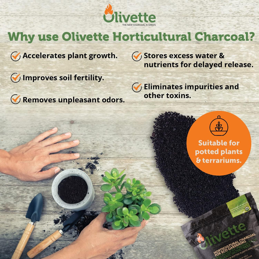 olivette organic biochar activated charcoal for plants, 3, close-up detail