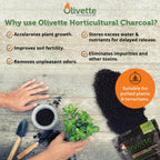 olivette organic biochar activated charcoal for plants, 3, close-up detail