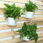 dandat 6 pcs 8.7'' railing plant holders metal shown in use