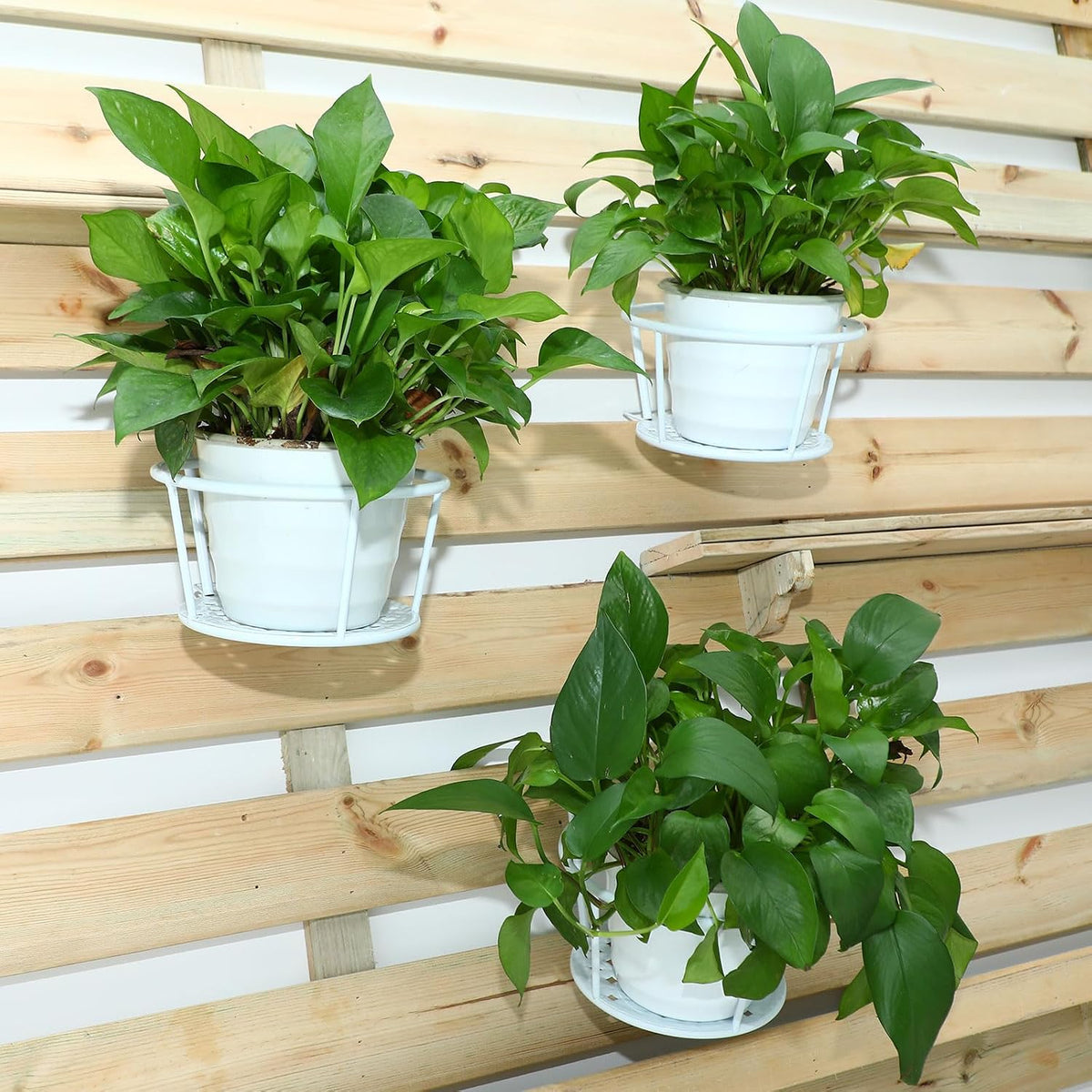 dandat 6 pcs 8.7'' railing plant holders metal shown in use