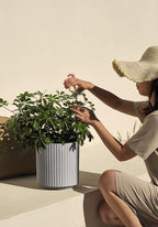 Veradek Demi Series Round Planter for Porch, Patio, Backyard | Durable Plastic-Concrete Material | Modern Décor for Tall Plants, Flowers