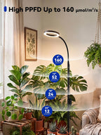 Grow Lights for Indoor Plants,Full Spectrum Plant Light with Stand | 20W Floor Grow Light with Adjustable Height, 3/9/12 Timer, Dimming & 3 Growth Modes for Houseplants, Herbs and Indoor Gardens