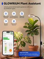 Grow Lights for Indoor Plants,Full Spectrum Plant Light with Stand | 20W Floor Grow Light with Adjustable Height, 3/9/12 Timer, Dimming & 3 Growth Modes for Houseplants, Herbs and Indoor Gardens