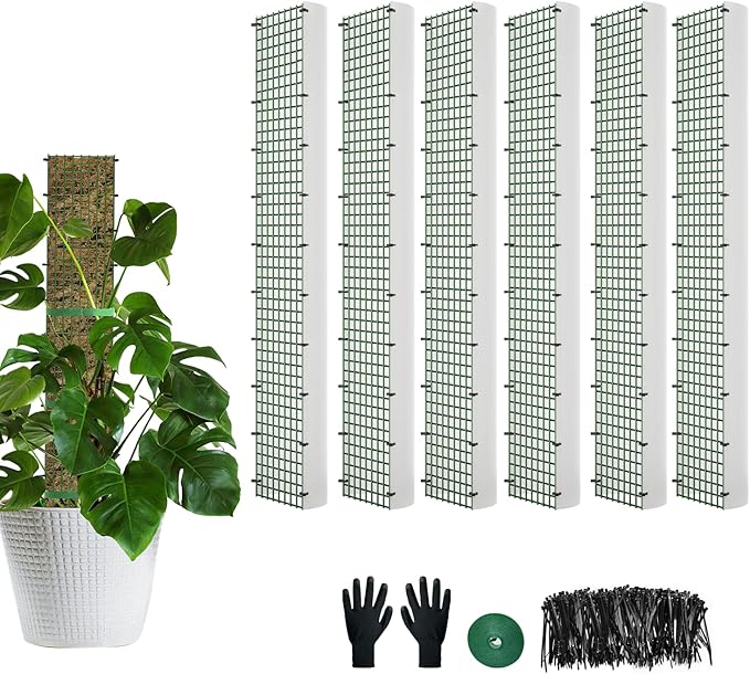 60"/40"/24" Metal Moss Pole, D Shape Sphagnum Moss Pole, Moss Poles for Climbing Plants, Monstera, Indoor Climbing Plants (6Pcs 24")