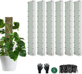 60"/40"/24" Metal Moss Pole, D Shape Sphagnum Moss Pole, Moss Poles for Climbing Plants, Monstera, Indoor Climbing Plants (6Pcs 24")