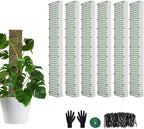 60"/40"/24" Metal Moss Pole, D Shape Sphagnum Moss Pole, Moss Poles for Climbing Plants, Monstera, Indoor Climbing Plants (6Pcs 24")