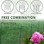 6 Pack Plant Support Stakes, 15.8" Half Round Metal Garden Plant Supports for Indoor Plants, Green Plant Cage Ring for Monstera, Peony, Hydrangea, Potted Plant Holder Sticks (10" Wide)