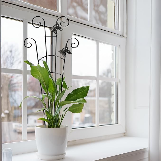 COOMIN 30'' Monstera Plant Support Outdoor, Metal Expandable Plant Supports for Indoor Plants, 2P Garden Trellis for Climbing Plants Indoor - Ivy, Pothos, Philodendron, Hoya