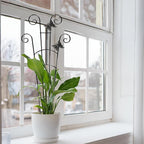 COOMIN 30'' Monstera Plant Support Outdoor, Metal Expandable Plant Supports for Indoor Plants, 2P Garden Trellis for Climbing Plants Indoor - Ivy, Pothos, Philodendron, Hoya