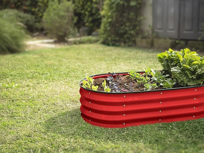 Plant & Plot Galvanized Raised Garden Beds Outdoor // 4×2×1 ft Planter Raised Beds for Gardening, Vegetables, Flowers // Large Metal Garden Box (Red)