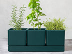 D'vine Dev Herb Garden Planter Set, Plastic Plant Pots with Drainage and Saucer, Indoor Succulent Cactus Vegetable Pot for Windowsill, Garden Balcony, Green, Set of 1, 76-V-C-1