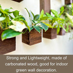LaLaGreen Wood Planter Boxes for Indoor Plants (4x4 Inch, 6 Pack) Small Square Wall Mounted Planters Flower Pot, Herb Wooden Box Hanging Plant Holder Outdoor Balcony Vertical Garden Modern Home Decor
