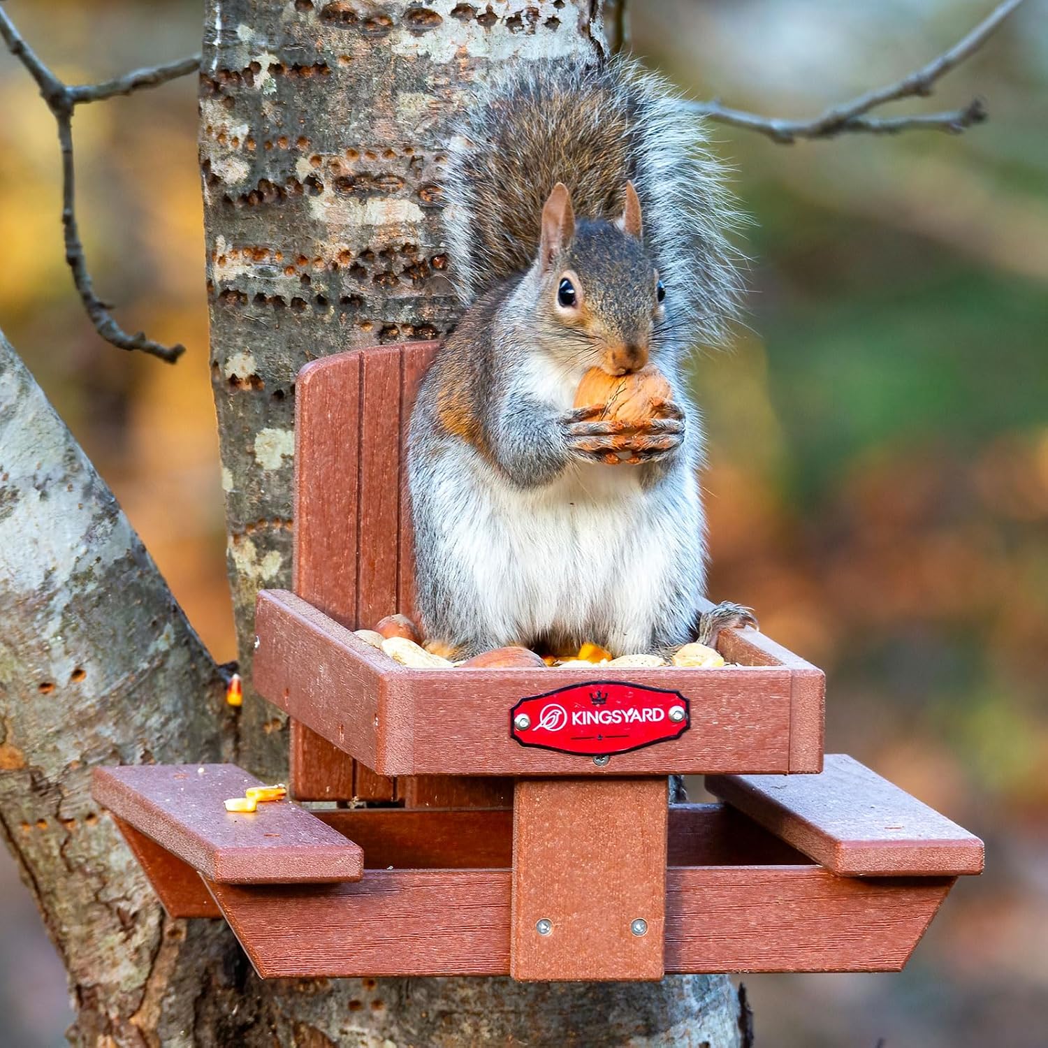 Kingsyard Squirrel Feeder Table for Outside, Recycled Plastic Squirrel & Chipmunk Picnic Table Feeder with Corn Cob Holder, 2 x Solid Structure Benches, Easy to Clean (Brown) | WPC Composite Squirrel & Chipmunk Picnic Table Feeder with Corn Cob Holder, 2