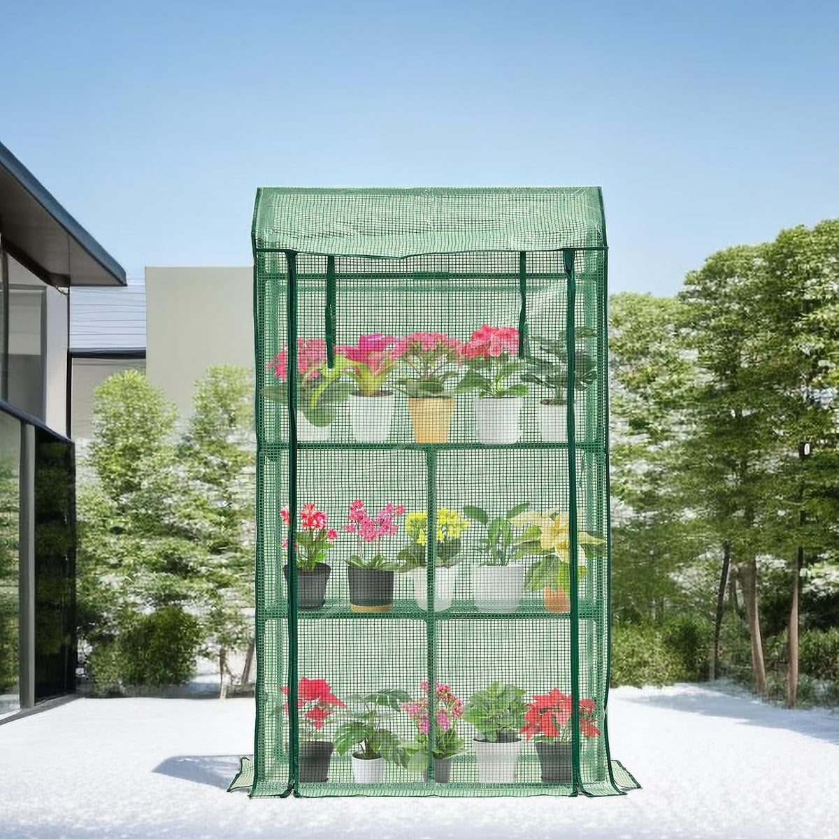 purlyu mini greenhouse for indoor outdoor, small plastic on a desk or shelf
