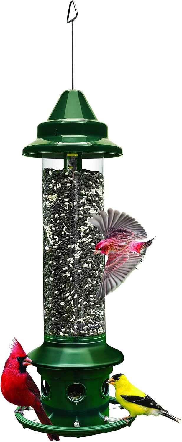 squirrel buster plus squirrel-proof bird feeder w/cardinal ring, main product view