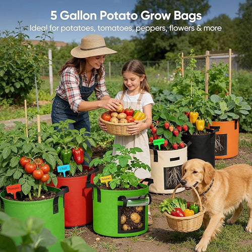 5 Gallon Potato Grow Bags: Set of 5 Colorful Gardening Supplies Fabric Pots with Harvest Window Reinforced Handles - Planting Container for Vegetable Tomatoes Carrot Flowers Balcony Patio Use