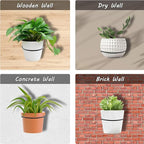 6 Pack 4 inch Flower Pot Holder Ring, Flower Pot Holder Ring Wall Mounted Set Wall Mounted Metal Planter Hanger Matte Black Hanging Plant Holders