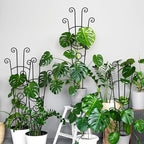32.6in Monstera Plant Support Stakes for Indoor Plants, Metal Garden Plant Trellis for Climbing Plants, Pothos Vine Snake Climber Support，2p
