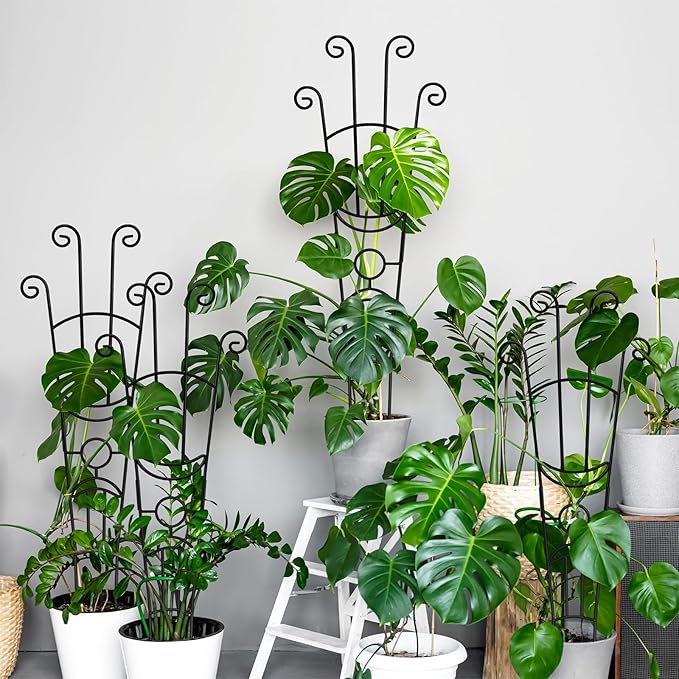32.6in Monstera Plant Support Stakes for Indoor Plants, Metal Garden Plant Trellis for Climbing Plants, Pothos Vine Snake Climber Support，2p