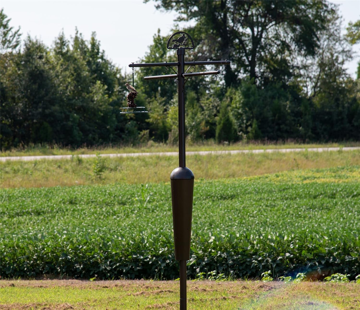 Squirrel Stopper Deluxe Squirrel Proof Bird Feeder Pole with Patented Spring Baffle, Heavy Duty Galvanized Steel Pole System with Auger, Raccoon Proof, Holds Up to 8 Feeders and Accessories - Black