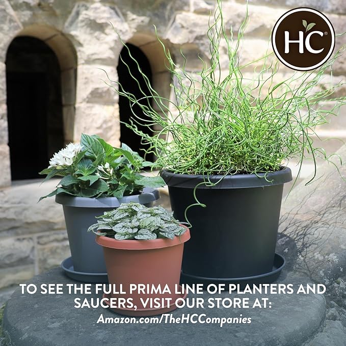 The HC Companies 16 Inch Round Prima Planter - Plastic Plant Pot with Rolled Rim for Indoor Outdoor Plants Flowers Herbs, Black