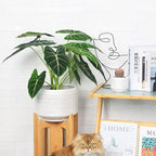 10 Inch Ceramic Plant Pot with Drainage – Large Flower Pot for Indoor Outdoor Plants, Modern Decorative Planter for Patio, Balcony, Garden, or Home Decor