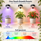 rechargeable grow lights for indoor plants, cordless plant showing dimensions