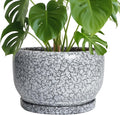 sqowl ceramic planters - 10 inch ceramic flower, main product view