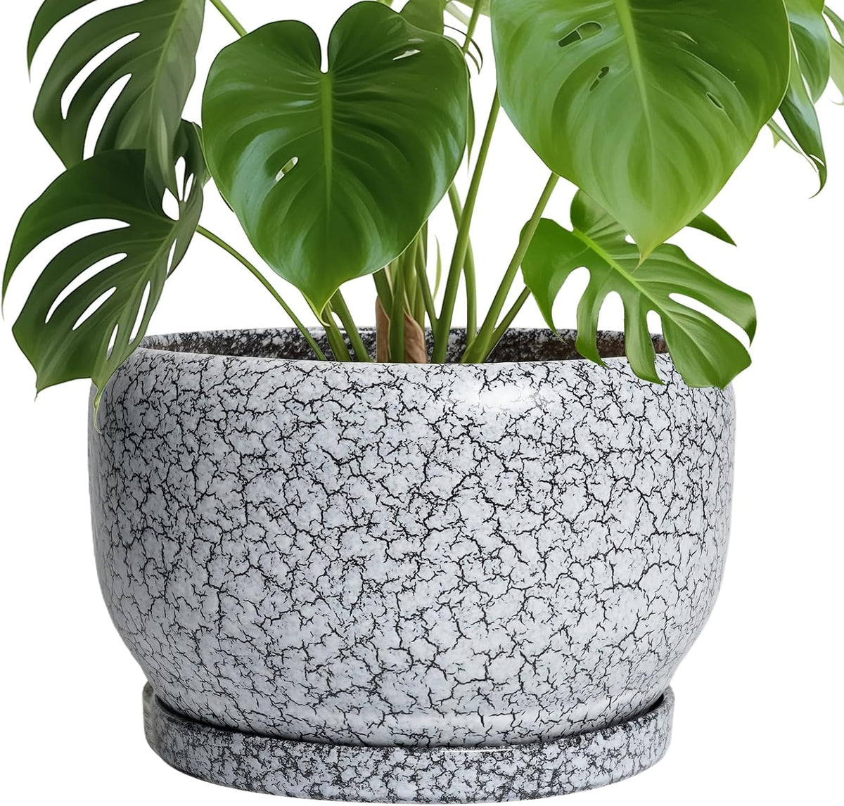 sqowl ceramic planters - 10 inch ceramic flower, main product view