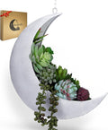 hanging moon planter for moon room decor, main product view
