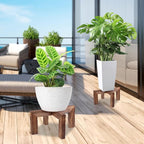Plant Stand, Indoor/Outdoor Wood Plant Holder, Single Flower Pot Stand, Sturdy Planter Stands (Walnut, Fit 5-9 Inch Pots)
