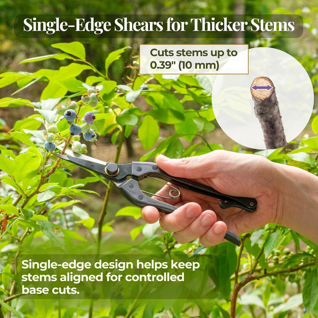 Wablade Japanese Pruning Shears, 8.2" Long, Cuts up to 0.39", Made in Japan | Precision bonsai scissors for thicker stems & base cutting, forged alloy steel blade for clean, controlled cuts, Single-Edge