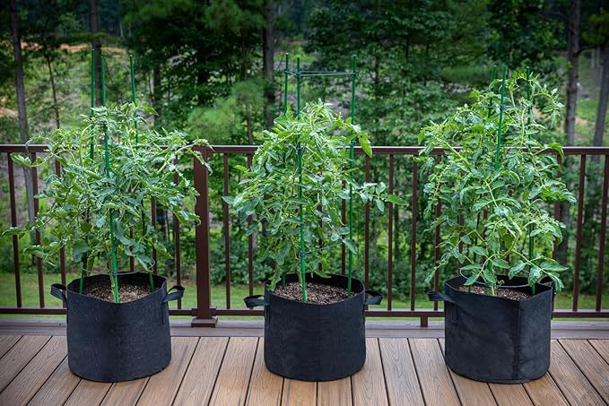 Gardzen 10-Pack 3 Gallons Grow Bags, Aeration Fabric Pots with Handles, Heavy Duty Cloth Pots for Plants