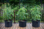 Gardzen 10-Pack 10 Gallon Grow Bags, 300G Thickened Aeration Fabric Pots with Handles, Heavy Duty Cloth Pots for Plants