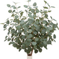 27" eucalyptus stems greenery stems eucalyptus leaf spray, main product view